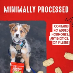 Stella & Chewy's Carnivore Crunch Cage-Free Chicken Recipe Freeze-Dried Raw Dog Treats (3.25 oz)