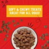 Stella & Chewy's Crav'n Bac'n Bites Bacon & Chicken Recipe Dog Treats (8.25 oz)
