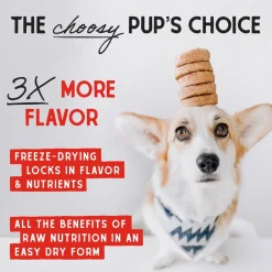 Stella & Chewy's Dandy Lamb Dinner Patties Freeze-Dried Raw Food For Dogs