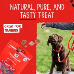 Stella & Chewy's Free-Dried Beef Hearts Dog Treats (3 oz)
