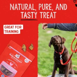 Stella & Chewy's Free-Dried Chicken Hearts Dog Treats