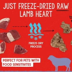 Stella & Chewy's Free-Dried Lamb Hearts Dog Treats (3 oz)