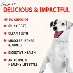 Stella & Chewy's Freeze-Dried Beef Liver Treats For Dogs (3 oz)