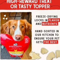 Stella & Chewy's Freeze-Dried Chicken Breast Dog Treats (2.75 oz)