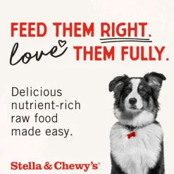 Stella & Chewy's Freeze-Dried Chicken Breast Dog Treats (2.75 oz)