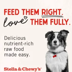 Stella & Chewy's Freeze-Dried Lamb Liver Treats For Dogs (3 oz)