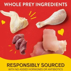 Stella & Chewy's Lil' Bites Chicken Little Recipe Small Breed Freeze-Dried Raw Food For Dog (7 oz)