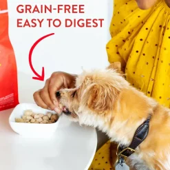 Stella & Chewy's Lil' Bites Chicken Little Recipe Small Breed Freeze-Dried Raw Food For Dog (7 oz)