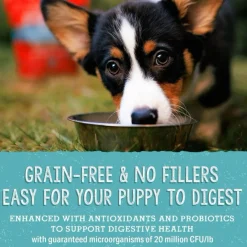 Stella & Chewy's Perfectly Beef & Salmon Meal Mixers Freeze-Dried Raw Topper For Puppies (18 oz)