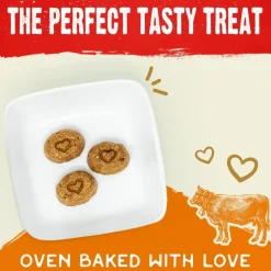 Stella & Chewy's Raw Coated Biscuits Grass-Fed Beef Recipe Crunchy Dog Treats (9 oz)