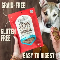 Stella & Chewy's Raw Coated Biscuits Grass-Fed Lamb Recipe Crunchy Dog Treats (9 oz)