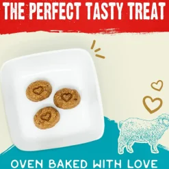 Stella & Chewy's Raw Coated Biscuits Grass-Fed Lamb Recipe Crunchy Dog Treats (9 oz)