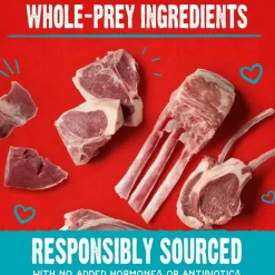 Stella & Chewy's Raw Coated Biscuits Grass-Fed Lamb Recipe Crunchy Dog Treats (9 oz)