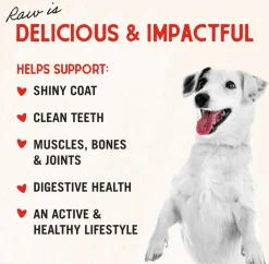 Stella & Chewy's Remarkable Red Meat Dinner Patties Freeze-Dried Raw Food For Dogs