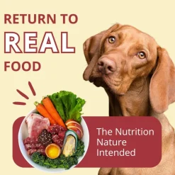 Steve's Real Food Beef Recipe Freeze-Dried Pet Food for Cats & Dogs (1.25 lb)