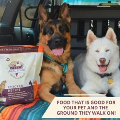 Steve's Real Food Chicken Recipe Freeze-Dried Pet Food for Cats & Dogs (1.25 lb)
