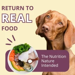 Steve's Real Food Chicken Recipe Freeze-Dried Pet Food for Cats & Dogs (1.25 lb)