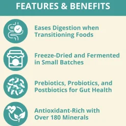 Steve's Real Food Lamb Protein Bites Gut Boosting Bites for Cats & Dogs (4 oz)
