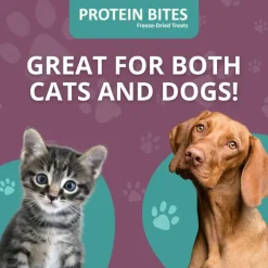Steve's Real Food Lamb Protein Bites Gut Boosting Bites for Cats & Dogs (4 oz)