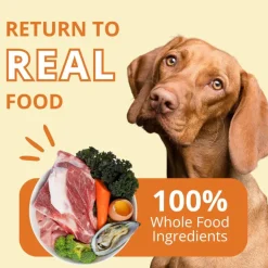 Steve's Real Food Pork Recipe Freeze-Dried Pet Food for Cats & Dogs (1.25 lb)