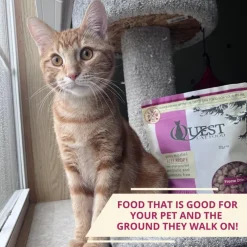 Steve's Real Food Quest Beef Recipe Freeze-Dried Cat Food (10 oz)