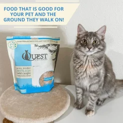 Steve's Real Food Quest White Fish Recipe Freeze-Dried Cat Food (10 oz)