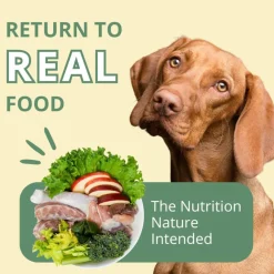 Steve's Real Food Turducken Recipe Freeze-Dried Pet Food for Cats & Dogs (1.25 lb)