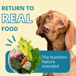 Steve's Real Food Turkey Recipe Freeze-Dried Pet Food for Cats & Dogs (1.25 lb)