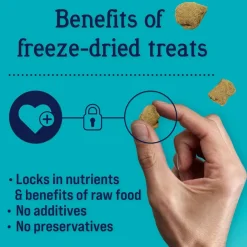 Stewart Chicken Breast Freeze-Dried Treats For Dogs