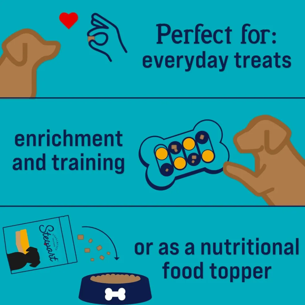 Stewart Chicken Liver Freeze-Dried Treats For Dogs