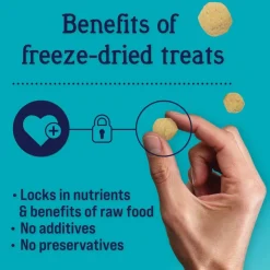 Stewart PuffPops Bacon, Egg & Cheese Recipe Freeze-Dried Treats For Dogs