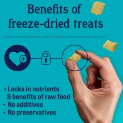 Stewart Shine Salmon & Sweet Potato w/ Omega-3 Fatty Acids Freeze-Dried Treats For Dogs (4 oz)