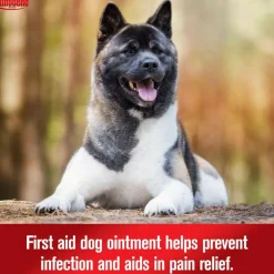 Sulfodene 3-Way Ointment for Dogs, 2-oz