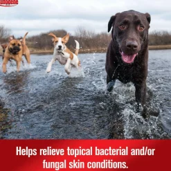 Sulfodene 3-Way Ointment for Dogs, 2-oz