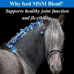 Su-Per MSM Blend Powder for Horse, 2.5-lb