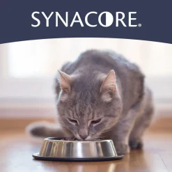 Synacore Cat - Natural Formula to Provide Immune Support for Cats & Help MaintainDigestive Health - Probiotics and Vitamins for Cats - Pet Products - (30 Count)