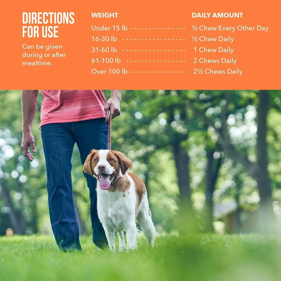 Synovi G4 Soft Chews Joint Supplement for Dogs