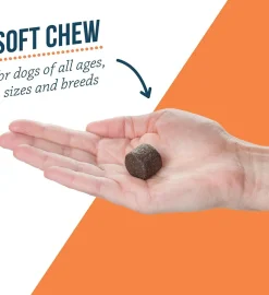 Synovi G4 Soft Chews Joint Supplement for Dogs