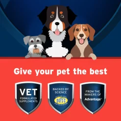 Synovi G3 Soft Chews Joint Supplement for Dogs