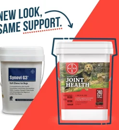 Synovi G3 Soft Chews Joint Supplement for Dogs