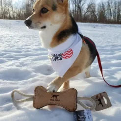Tall Tails Natural Leather Bone Tug Toy for Dogs