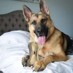 Tall Tails Natural Leather Bone Tug Toy for Dogs