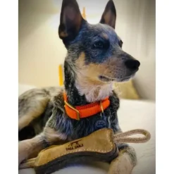 Tall Tails Natural Leather Bone Tug Toy for Dogs