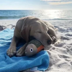 Tall Tails Plush Fish Dog Toy, 12