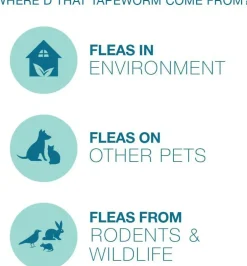 Tapeworm Dewormer for Cats (3 Tablets)
