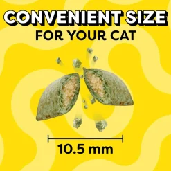 Temptations Classics Blissful Catnip Flavor Soft & Crunchy Cat Treats