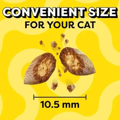 Temptations Classics Savory Salmon Flavor Soft & Crunchy Cat Treats