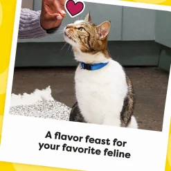 Temptations MixUps Catnip Fever Flavor Soft & Crunchy Treats for Cats