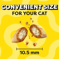 Temptations MixUps Surfers' Delight Flavor Soft & Crunchy Treats for Cats, 16-oz