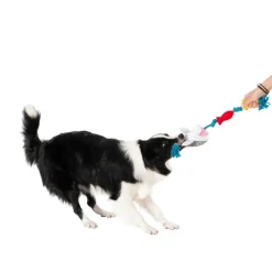 Territory Floating Tug Toy for Dogs